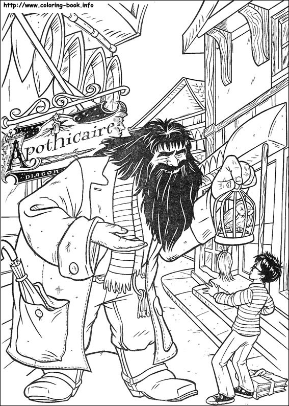 Harry Potter coloring picture